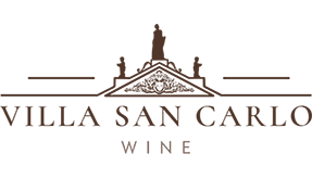 Logo de Villa San Carlo